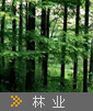 ֘I(y)