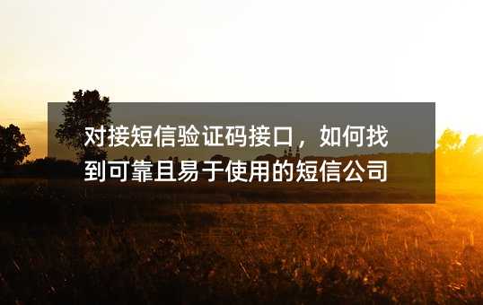 對接短信驗(yàn)證碼接口,如何找到可靠且易于使用的短信公司