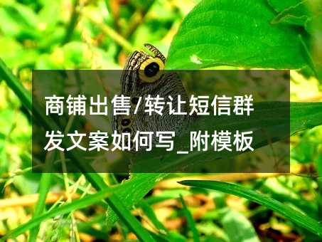 䁳/D(zhun)׌Ⱥl(f)İΌ_ģ