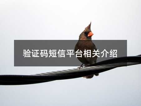 (yn)Caƽ_(ti)P(gun)B