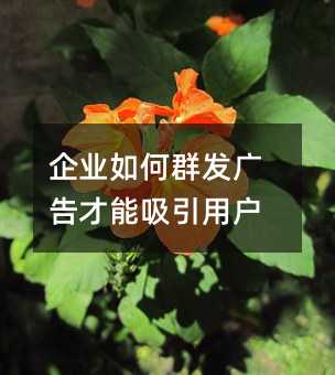 企業(yè)如何群發(fā)廣告才能吸引用戶