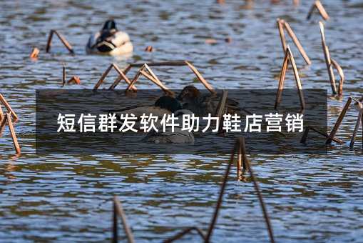 短信群發(fā)軟件助力鞋店營銷