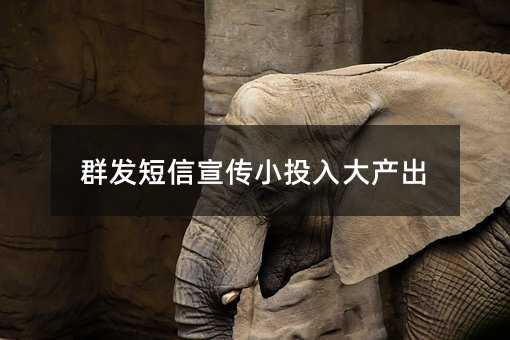 群發(fā)短信宣傳小投入大產(chǎn)出