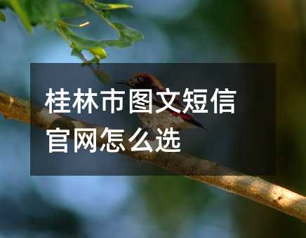 ЈDĶŹپW(wng)ôx