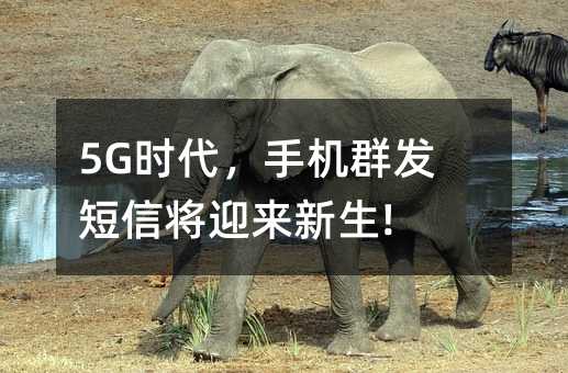 5G時代,手機群發(fā)短信將迎來新生!