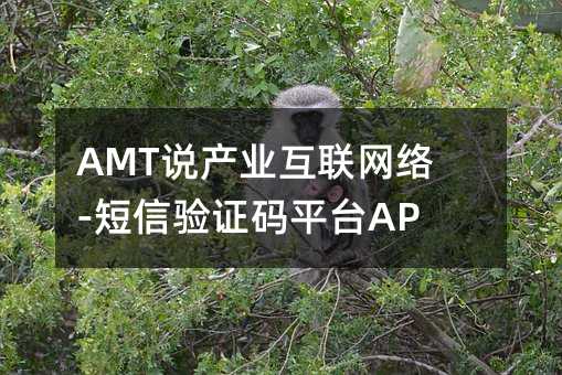 AMT說產業(yè)互聯(lián)網(wǎng)絡-短信驗證碼平臺API接口