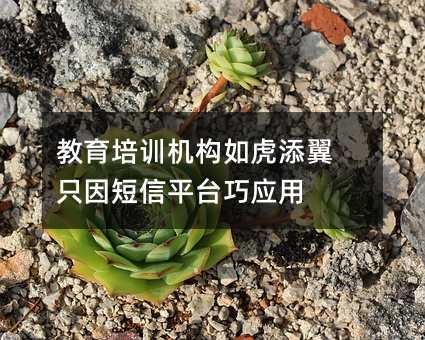 教育培訓(xùn)機(jī)構(gòu)如虎添翼 只因短信平臺(tái)巧應(yīng)用
