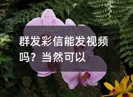 Ⱥl(f)ܰl(f)ҕl(dng)Ȼ
