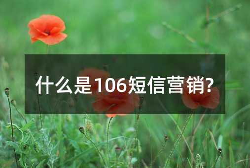 ʲô106ŠIN?