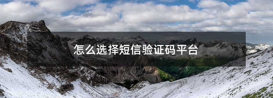 怎么選擇短信驗證碼平臺