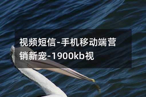 視頻短信-手機(jī)移動(dòng)端營(yíng)銷新寵-1900kb視頻短信