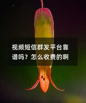 視頻短信群發(fā)平臺(tái)靠譜嗎?怎么收費(fèi)的啊