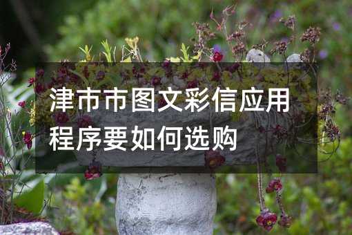 津市市圖文彩信應(yīng)用程序要如何選購(gòu)