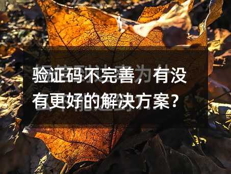 驗證碼不完善,有沒有更好的解決方案?