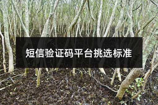 短信驗(yàn)證碼平臺(tái)挑選標(biāo)準(zhǔn)