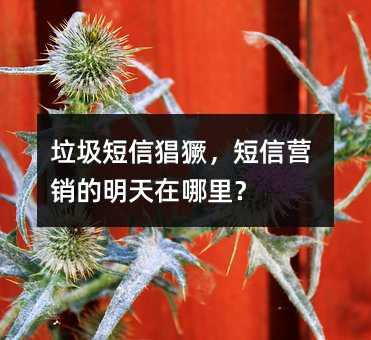 垃圾短信猖獗,短信營銷的明天在哪里?