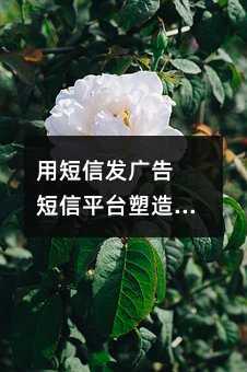 用短信發(fā)廣告 短信平臺(tái)塑造真實(shí)溝通平臺(tái)