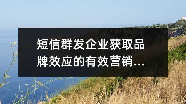 短信群發(fā)企業(yè)獲取品牌效應(yīng)的有效營(yíng)銷手段
