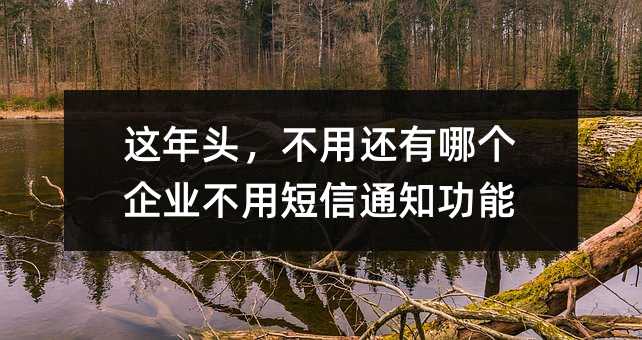 這年頭,不用還有哪個(gè)企業(yè)不用短信通知功能