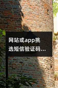 W(wng)վappx(yn)Caƽ_(ti)ӿҪ@5(g)