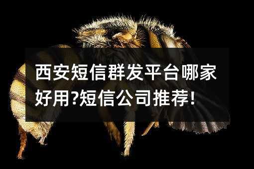 Ⱥl(f)ƽ_(ti)ļҺ?Ź˾]!