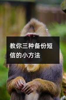 NݶŵС