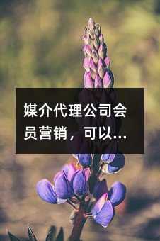 ý˾(hu)TI(yng)NxȺl(f)ҕl