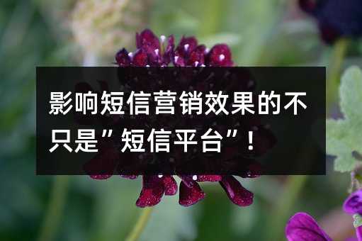 Ӱ푶ŠINЧĲֻǡƽ_!