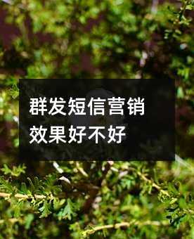 群發(fā)短信營銷效果好不好