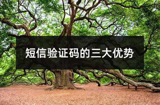 (yn)Ca(yu)(sh)