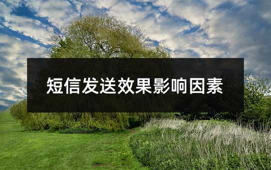 短信發(fā)送效果影響因素