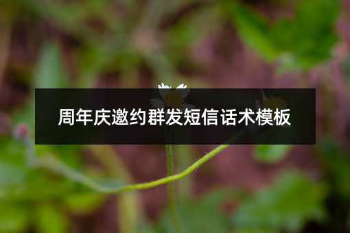永安市視頻彩信電腦軟件怎樣選