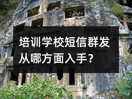 Ӗ(xn)W(xu)УȺl(f)ķ֣