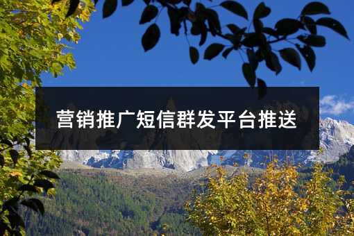 營(yíng)銷推廣短信群發(fā)平臺(tái)推送