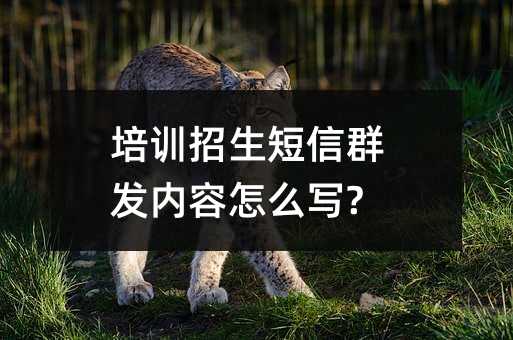 Ӗ(xn)Ⱥl(f)(ni)ô(xi)?