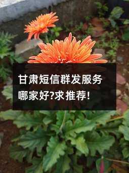 CȺl(f)ļҺ?]!