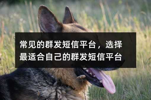 ҊȺl(f)ƽ_(ti)xmԼȺl(f)ƽ_(ti)