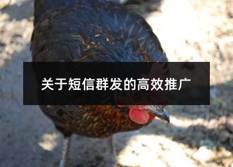 P(gun)ڶȺl(f)ĸЧƏV