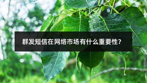 Ⱥl(f)ھW(wng)j(lu)ЈʲôҪ