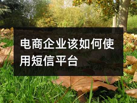 電商企業(yè)該如何使用短信平臺(tái)
