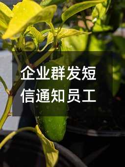 企業(yè)群發(fā)短信通知員工