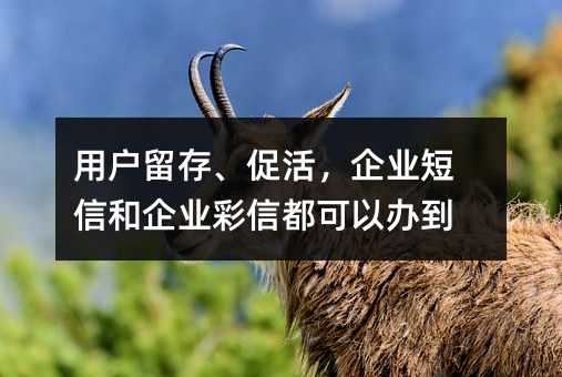 Ñ桢ٻI(y)źI(y)Ŷk