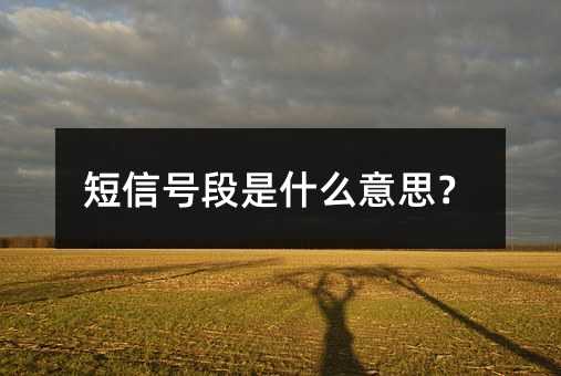 ̖ʲô˼