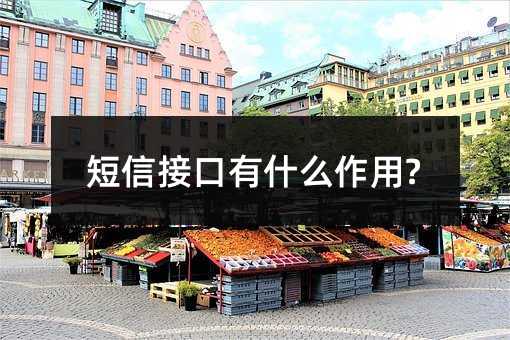 Žӿʲô?