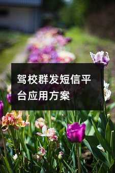 {УȺl(f)ƽ_(ti)(yng)÷