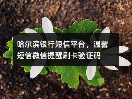 哈爾濱銀行短信平臺(tái),溫馨短信微信提醒刷卡驗(yàn)證碼