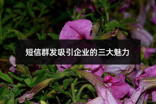 Ⱥl(f)I(y)