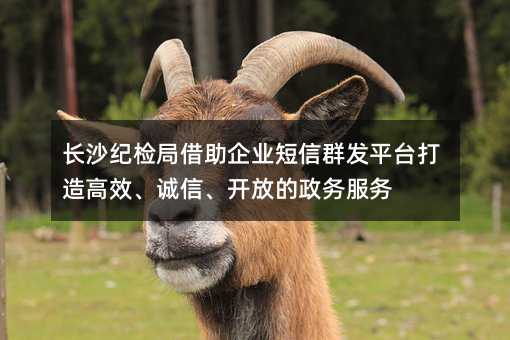 L(zhng)ɳo(j)zֽI(y)Ⱥl(f)ƽ_(ti)Ч\(chng)_ŵ(w)(w)