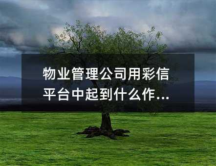 I(y)˾òƽ_ʲôã