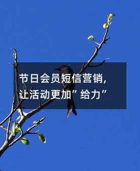 (ji)Օ(hu)TŠI(yng)N,׌(dng)ӡo!